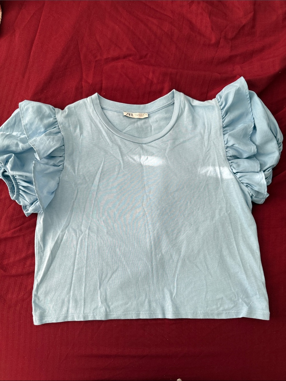 Zara Kids Light Blue Ruffle Sleeve Tee